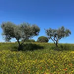 Trullo Trullallero ヴィラ マルティナ・フランカ