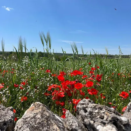 Vila Trullo Trullallero